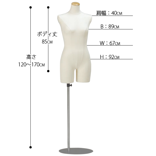 REBODYトルソー Amazon.co.jp: 株式会社シライ ReBody LADIES 婦人 腰受け